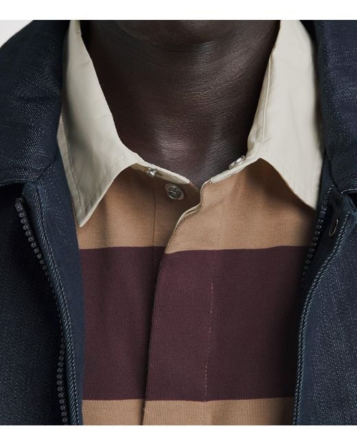 Moncler Brown Cotton Stripe Rugby Shirt for men