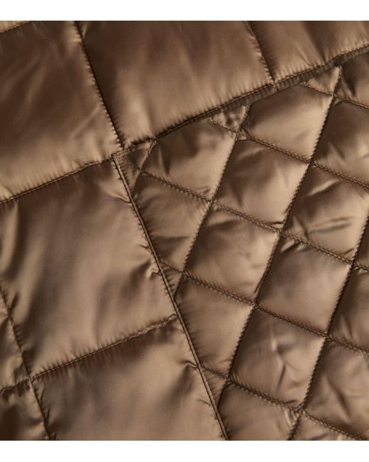 MAX&Co. Brown Quilted Puffaway Coat