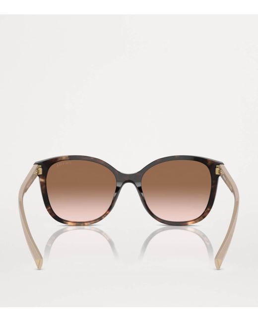 Prada Brown Acetate 0Pr 22Zs Sunglasses