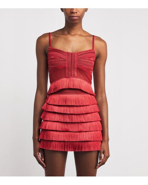 PATBO Red Fringed Radiant Crop Top
