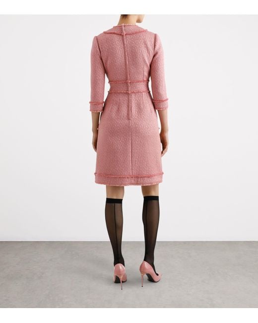 Dolce & Gabbana Pink Wool-Blend Tweed Mini Dress