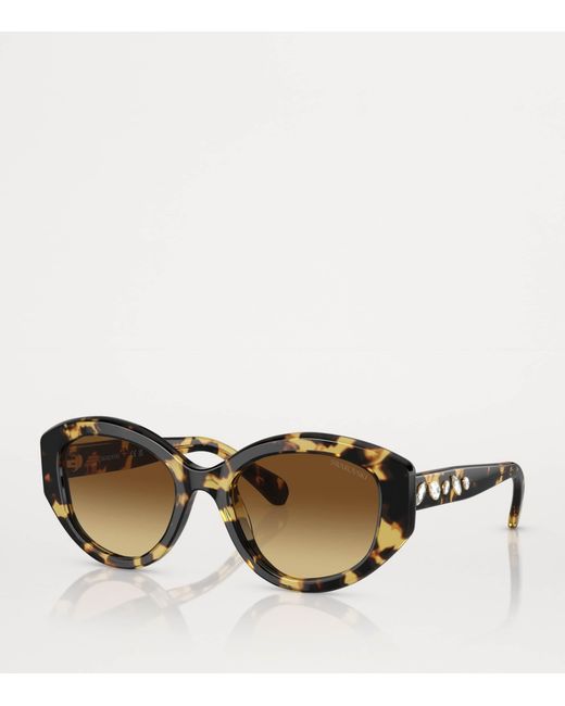 Swarovski Brown Oval Sk6005 Sunglasses
