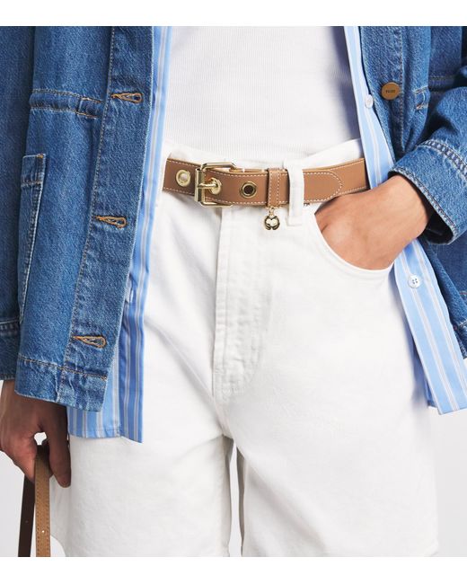 Maje Brown Leather Miss M Belt