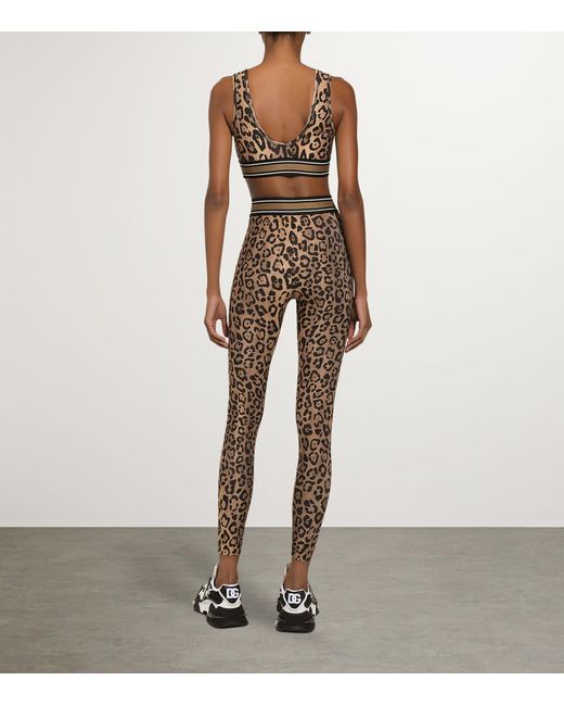 Dolce & Gabbana Multicolor Leopard Print High-rise Leggings
