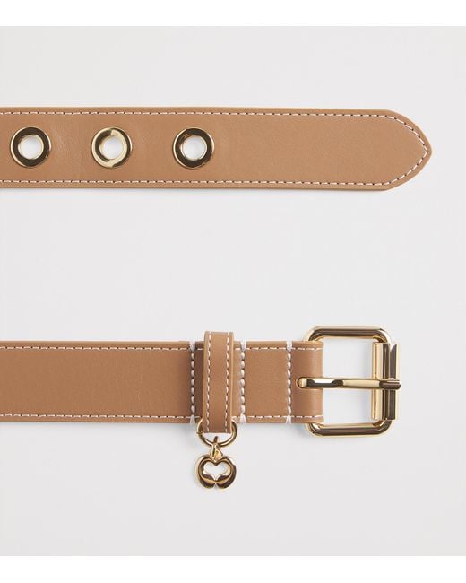 Maje Brown Leather Miss M Belt