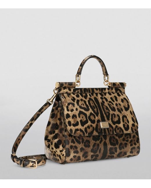 Dolce & Gabbana Brown Kim Dolce&Gabbana Medium Leopard Print Sicily Bag
