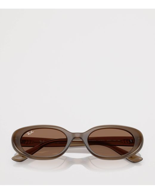Ray-Ban Brown Injected Oval Sunglasses