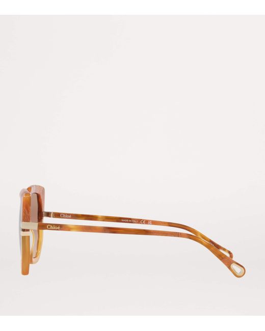 Chloé Brown Acetate Ch0240S Sunglasses