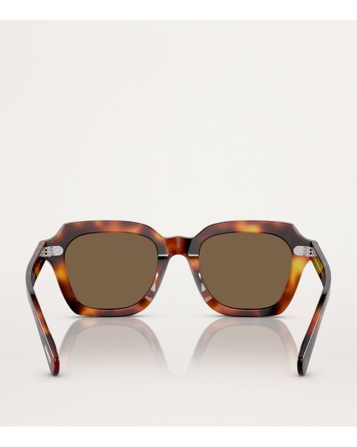 Oliver Peoples Brown Acetate Kienna Sunglasses