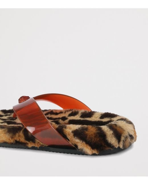 Kurt Geiger Brown Eagle Flip Flops