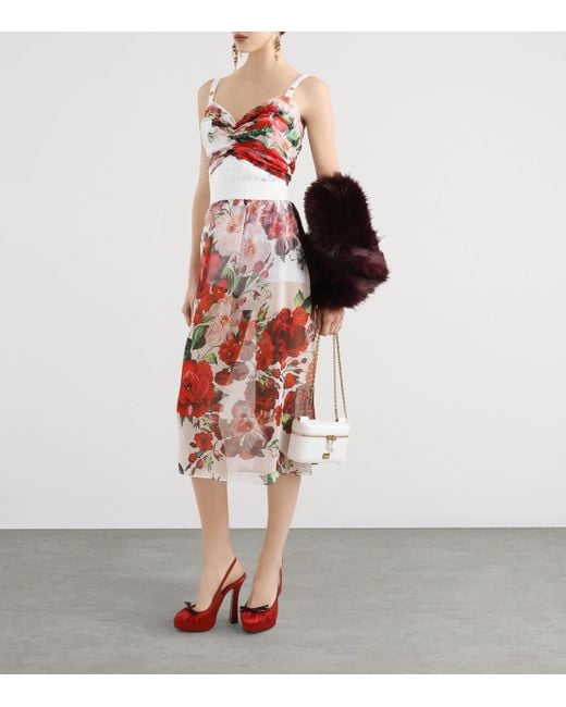 Dolce & Gabbana Red Rose Print Corset Top