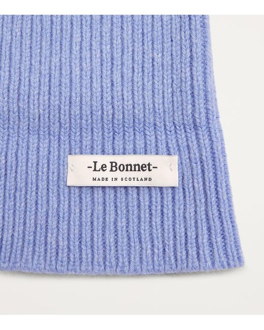 Le Bonnet Blue Ribbed Classic Beanie for men