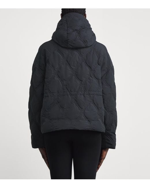 Canada Goose Black Quilted Alessia Down Jacket