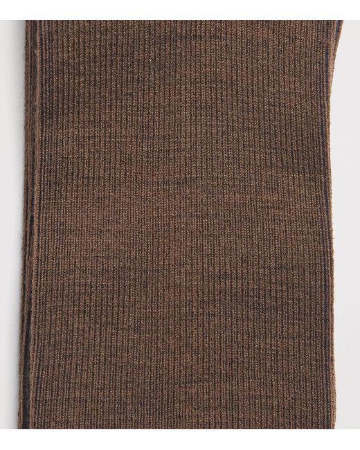 Doré Doré Brown Fine-Ribbed Socks for men