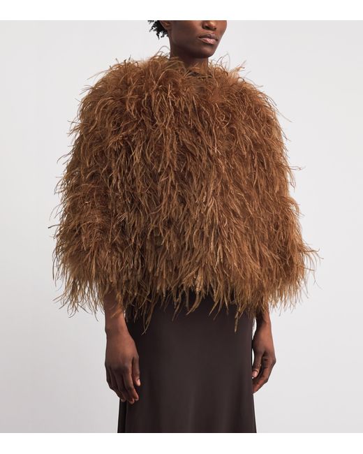 Yves Salomon Brown Ostrich Feather Jacket