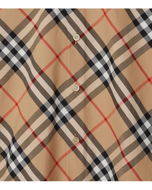 Burberry Brown Shirts