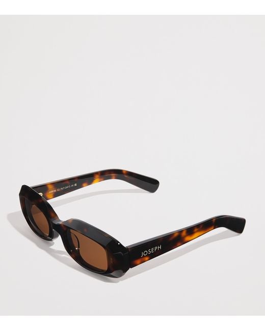 Joseph Brown Oval Bahia Sunglasses