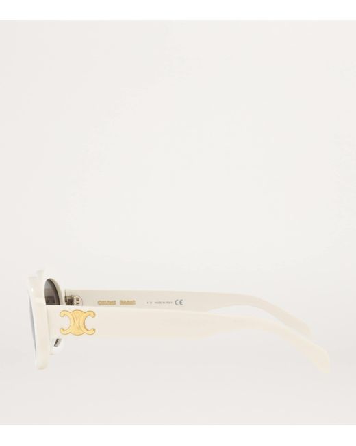 Céline Gray Acetate 0Cl000312 Sunglasses