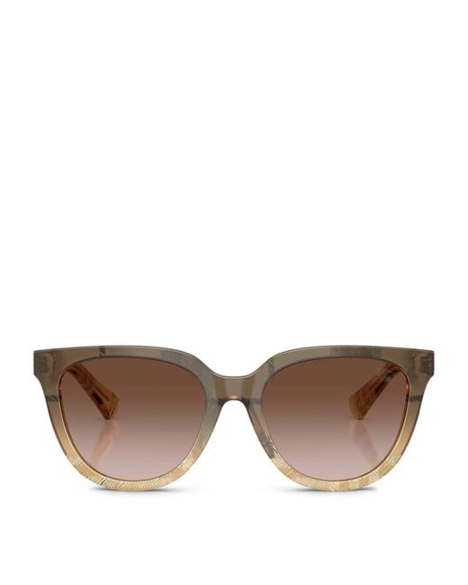 Burberry Brown Acetate Be4469 Phantos Sunglasses
