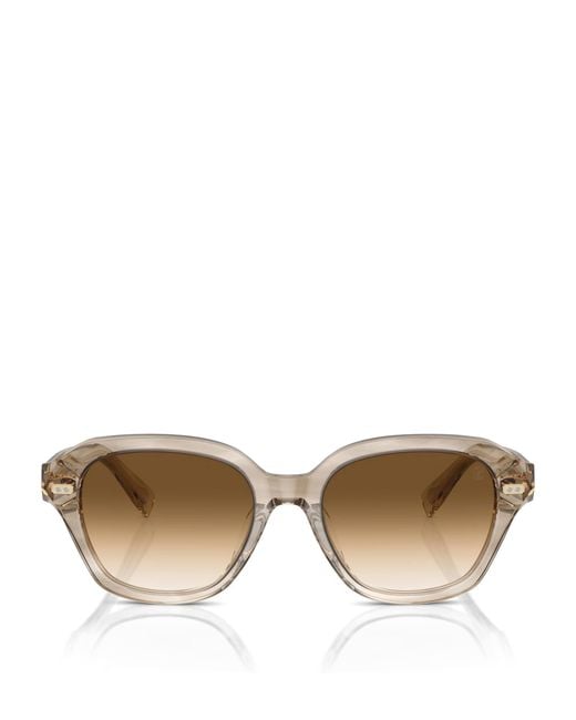 Brunello Cucinelli Brown Acetate Bc4004S Sunglasses
