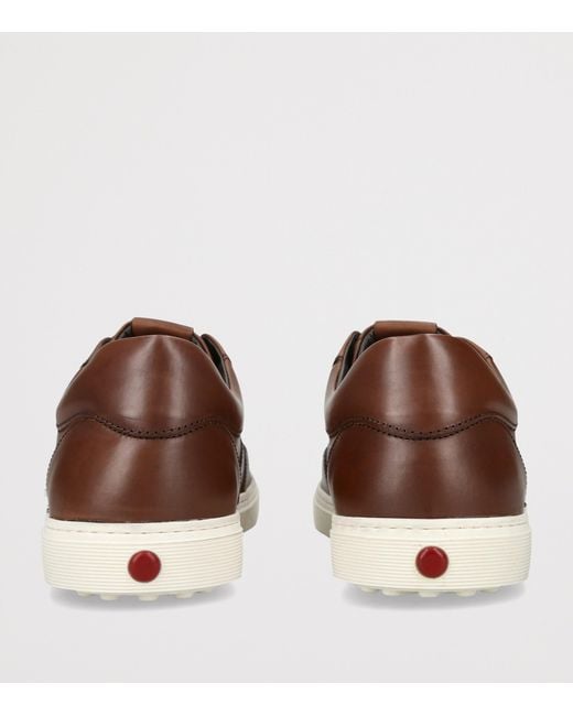 Tod's Brown Leather Elastic Cassetta Sneakers for men