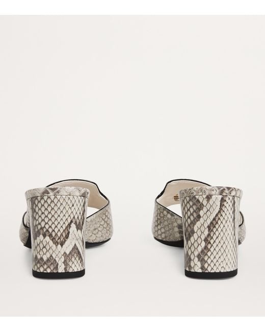 Dolce & Gabbana Multicolor Snakeskin Abaya Sandals 60