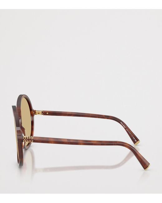 Miu Miu Brown Acetate Oversized Round Sunglasses