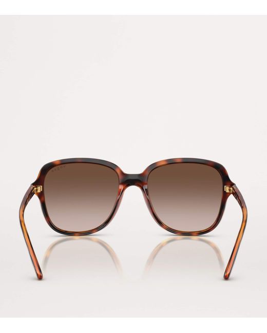 Vogue Brown Nylon Sunglasses