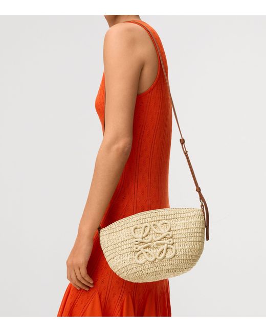 Loewe Natural X Paula's Ibiza Raffia Eclipse Pochette