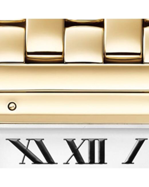 Cartier Metallic Panthère De Watch