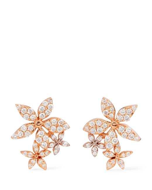 BeeGoddess Metallic And Diamond Apple Seed Stud Earrings