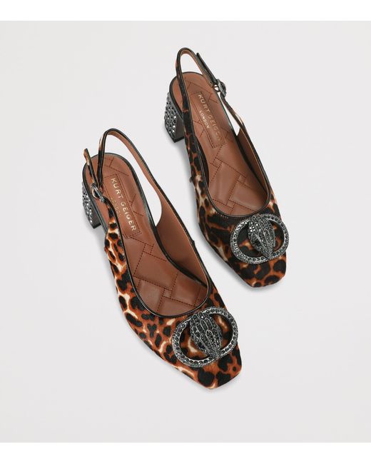 Kurt Geiger Brown Leopard Print Chelsea Slingback Pumps
