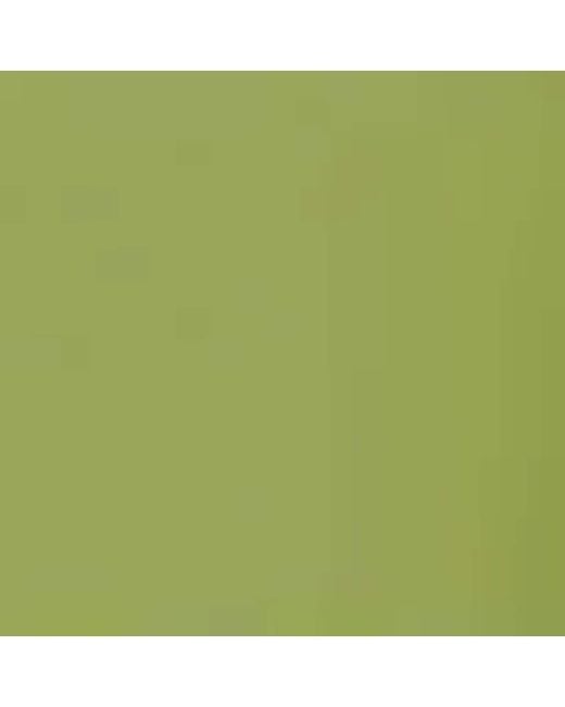 Swarovski Green Oversized Sk6011 Sunglasses
