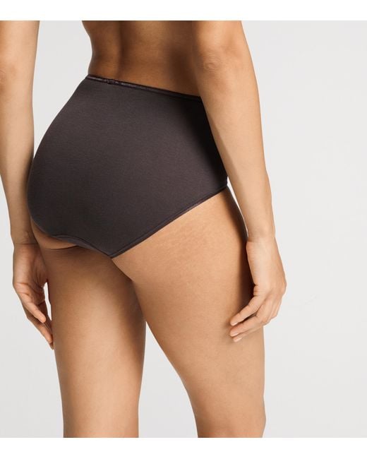 Hanro Brown Cotton Maxi Briefs