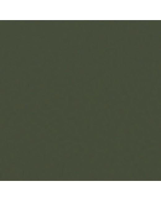 Ray-Ban Green Aviator Sunglasses