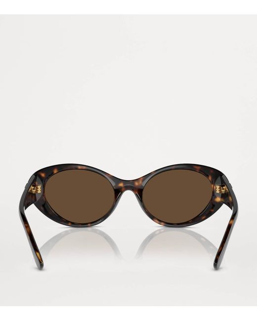 Versace Brown Injected 0Ve4455U Sunglasses