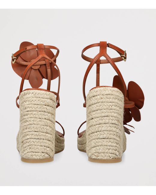 Zimmermann Brown Leather Orchid Wedges 110