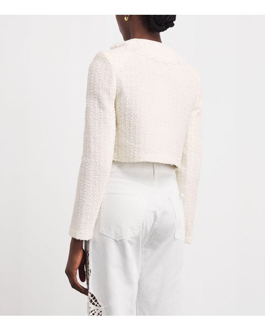 Self-Portrait White Bouclé Lace-Collar Jacket