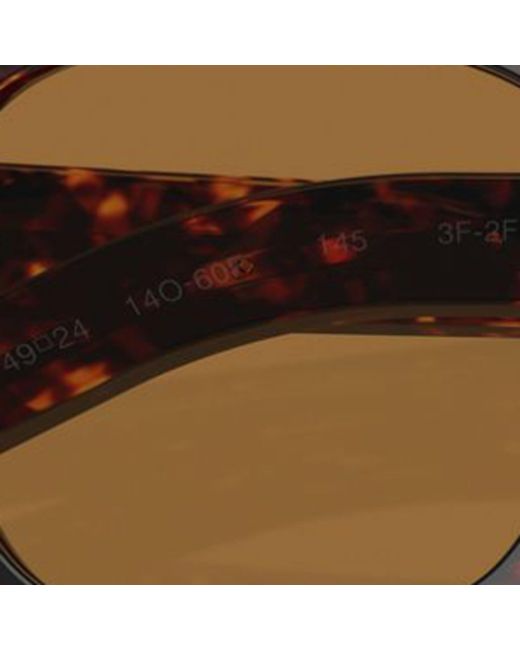 Prada Brown Acetate Pr A16S Sunglasses for men