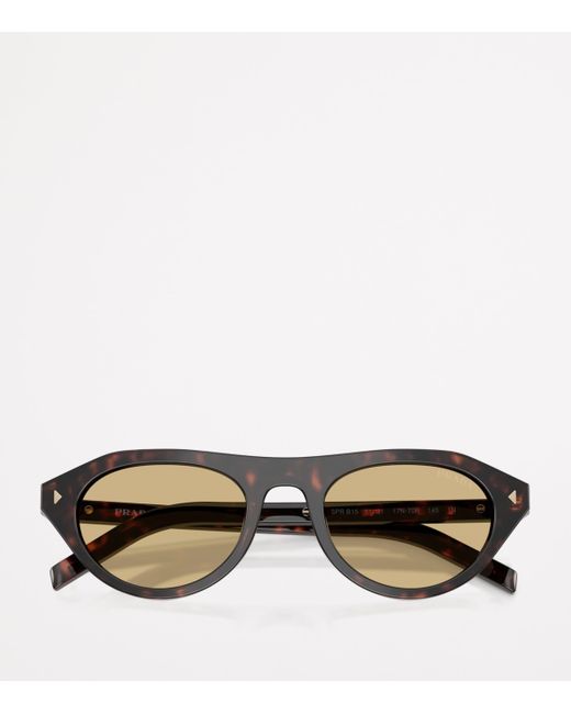 Prada Brown Acetate Pr B15S Sunglasses