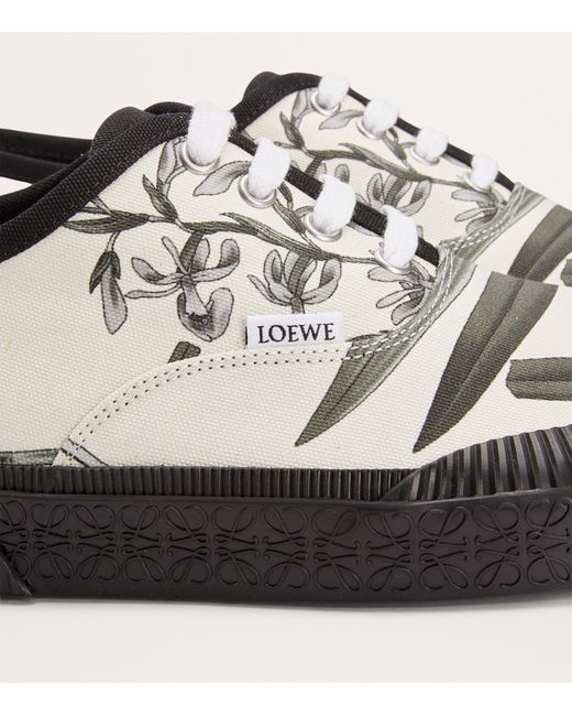 Loewe White X Paula's Ibiza Terra Vulca Low-top Sneakers for men