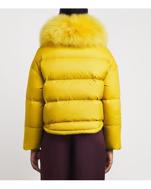 Yves Salomon Yellow Down-Fur Technical Puffer Jacket