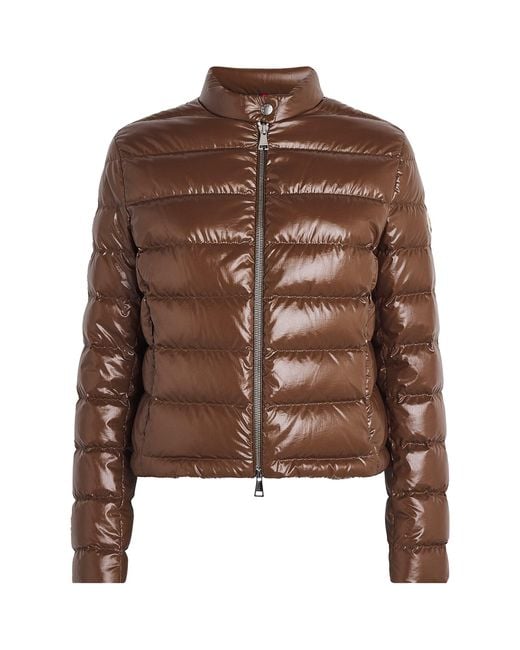 Moncler Brown Down Papillon Puffer Jacket