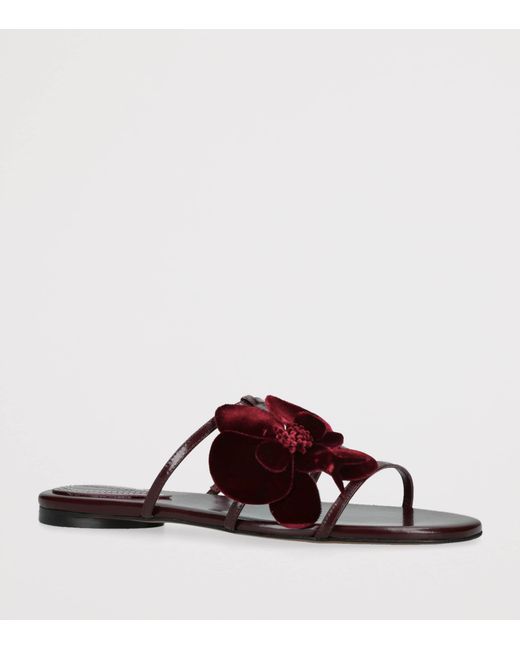 Zimmermann Brown Leather Orchid Sandals