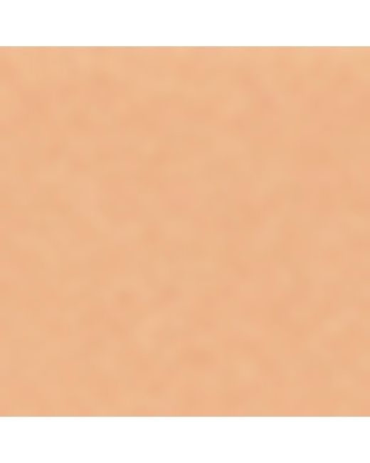 Chantelle Natural Softstretch Brazilian Briefs