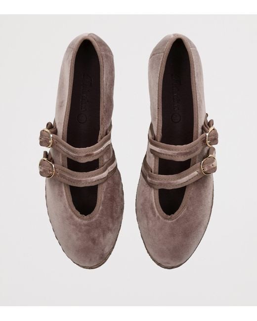 Flabelus Brown Velvet Claire Mary Jane Flats
