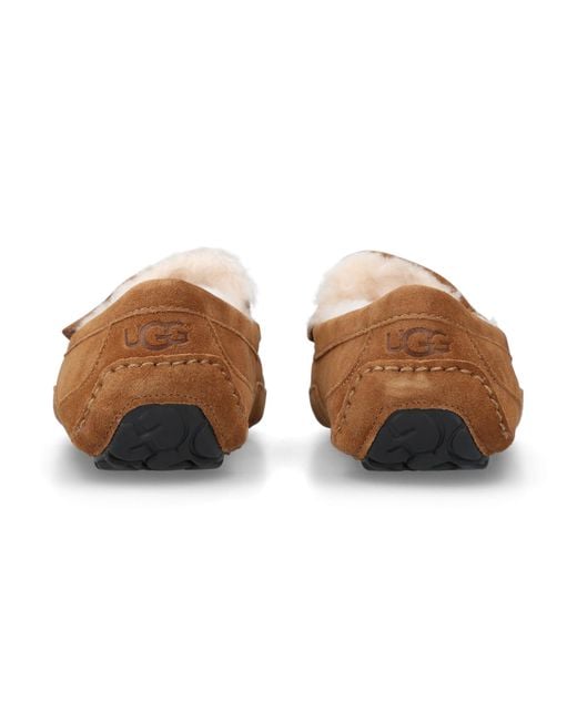 Ugg Brown Ascot Slipper for men