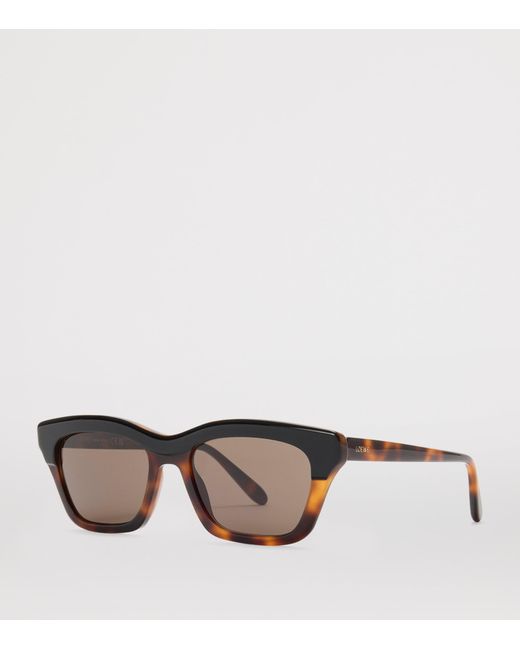 Loewe Brown Acetate Sigma Slim Sunglasses for men