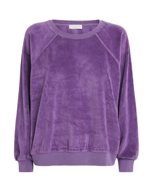 Suzie Kondi Purple Cotton-Blend Samos Sweatshirt