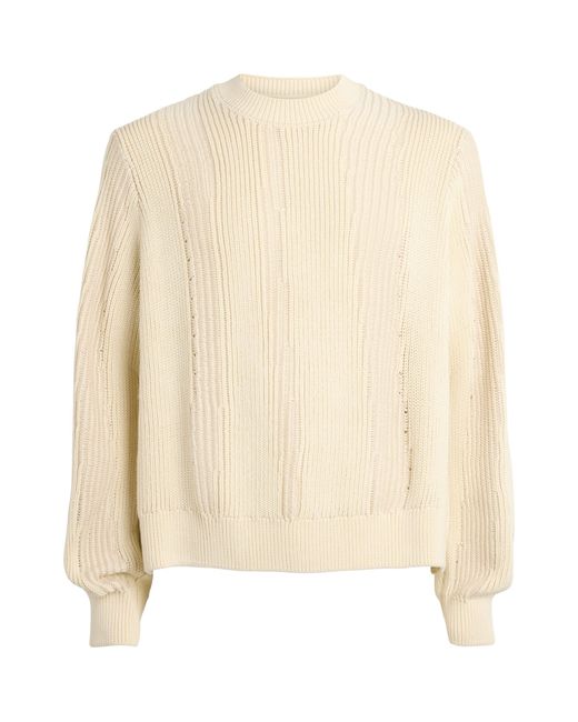 Won Hundred Natural Cotton Knitted Bently Sweater for men